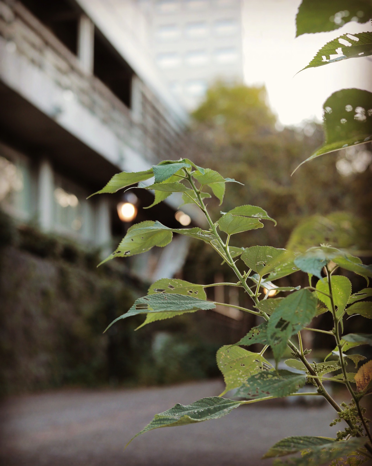 写真：イメージ3