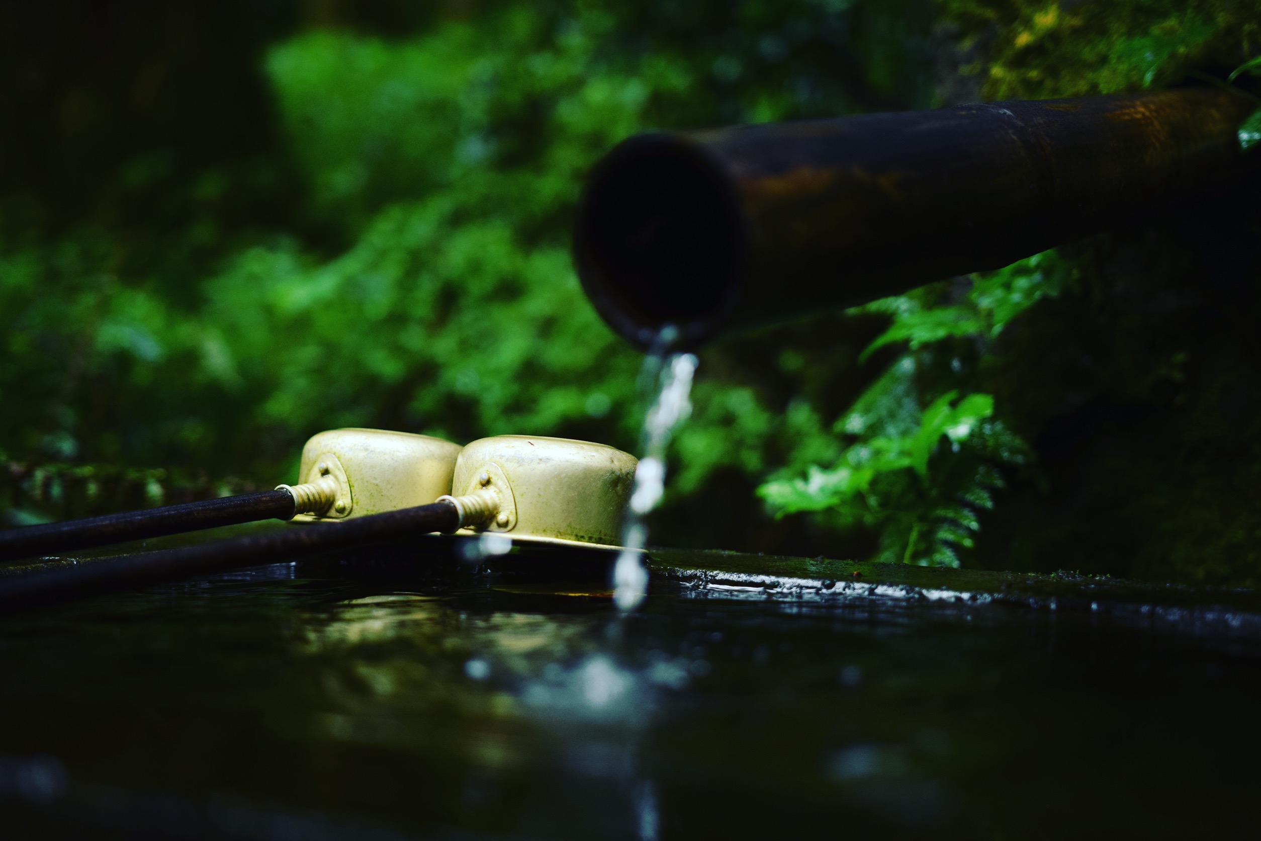 写真：イメージ4