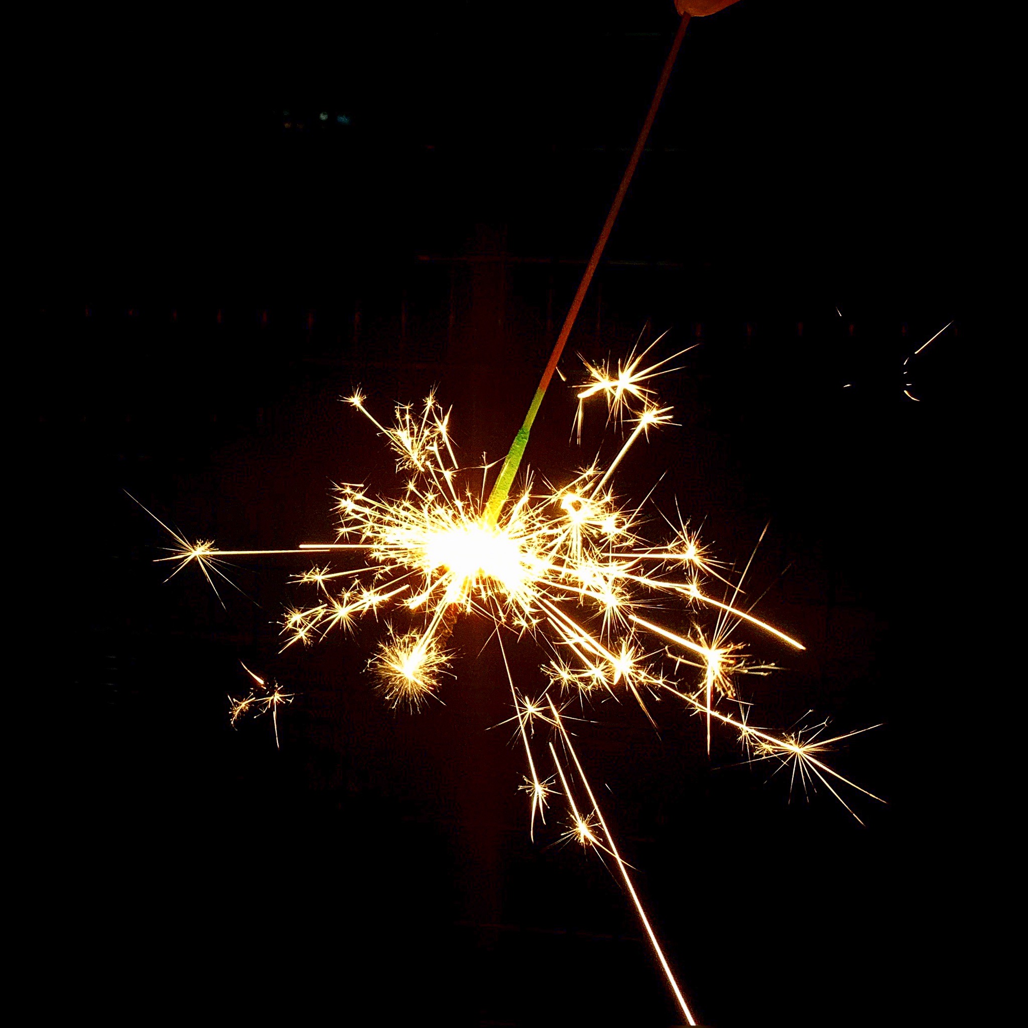 写真：イメージ7