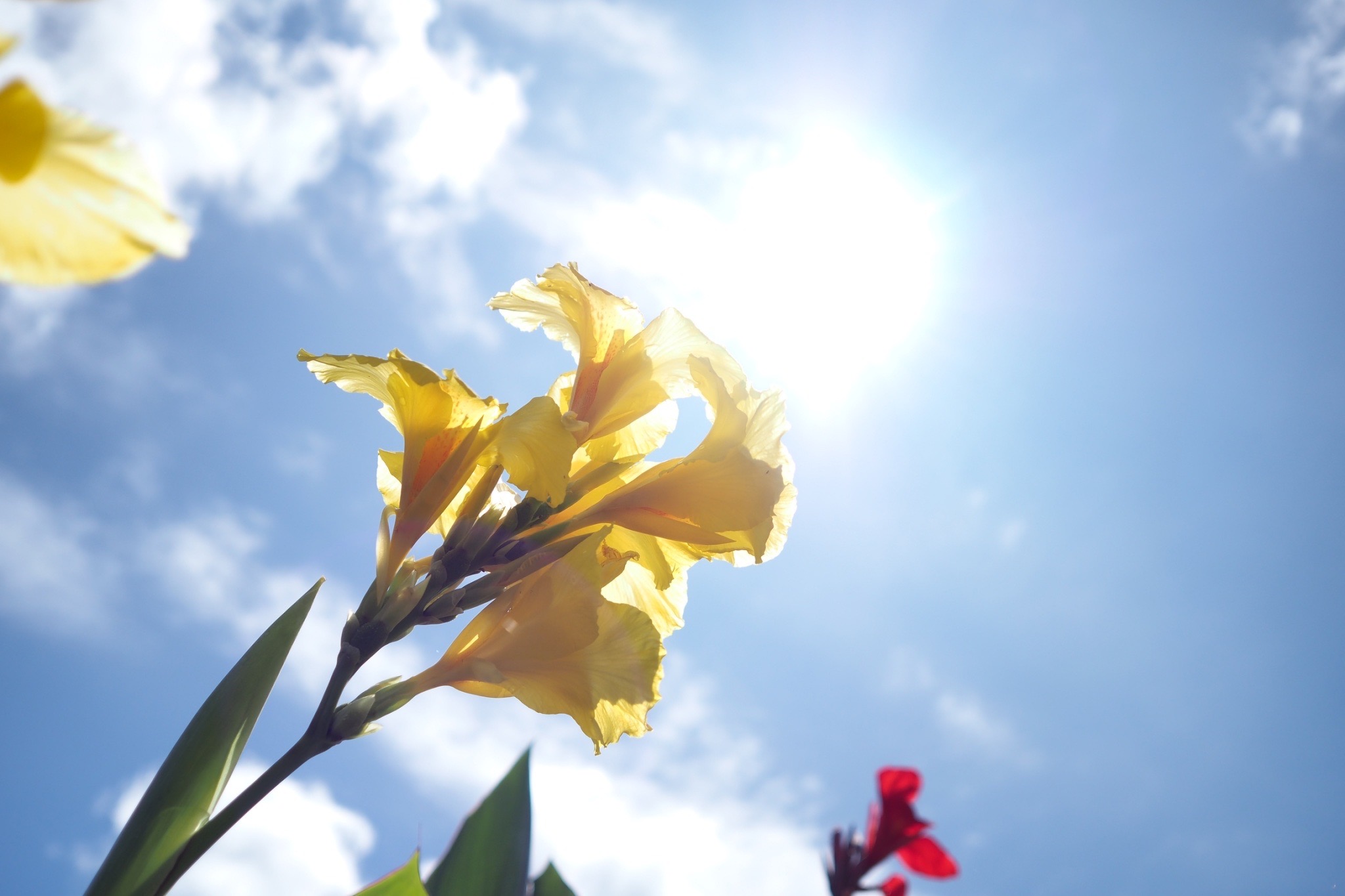 写真：イメージ8