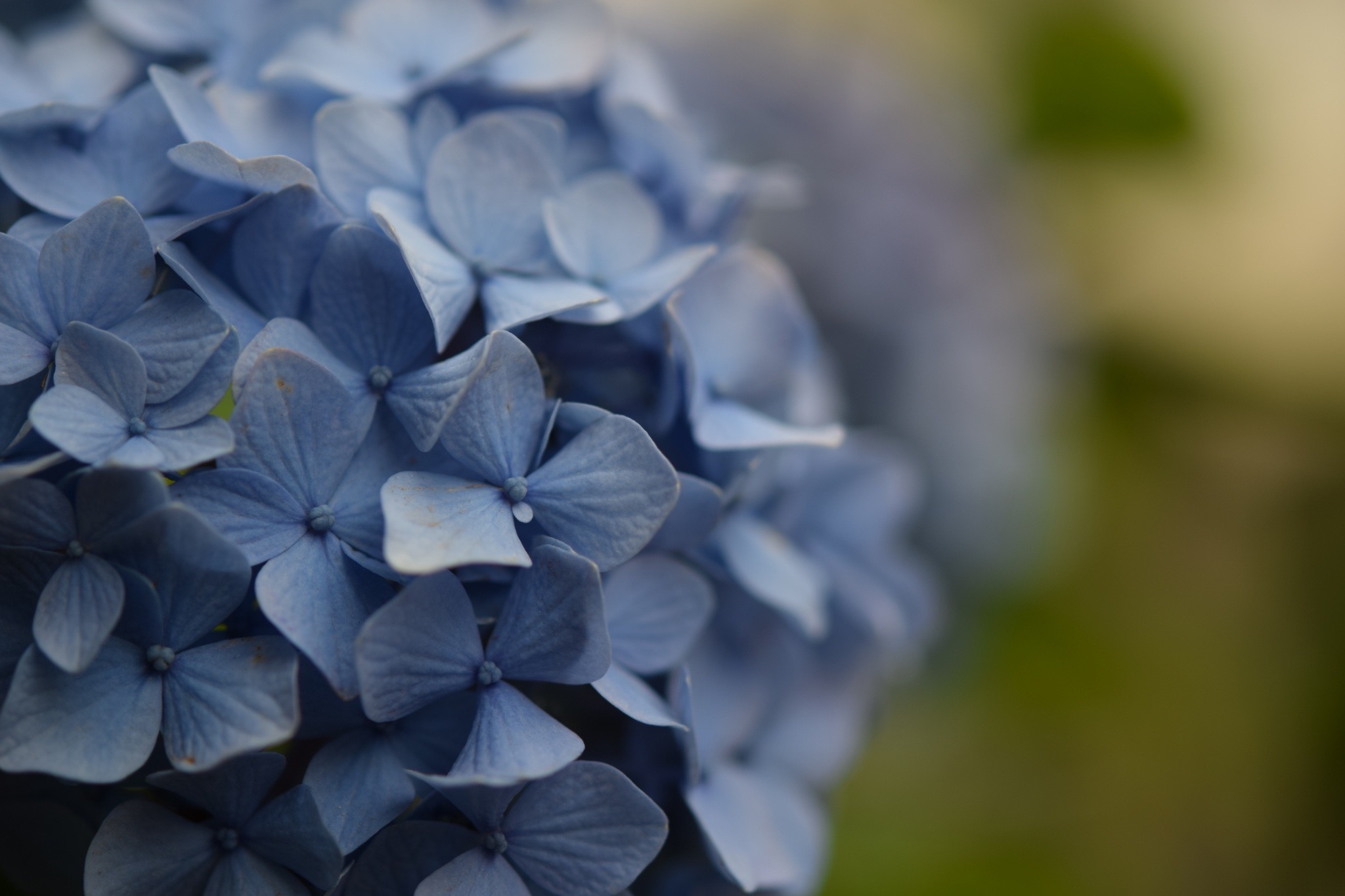 写真：イメージ10