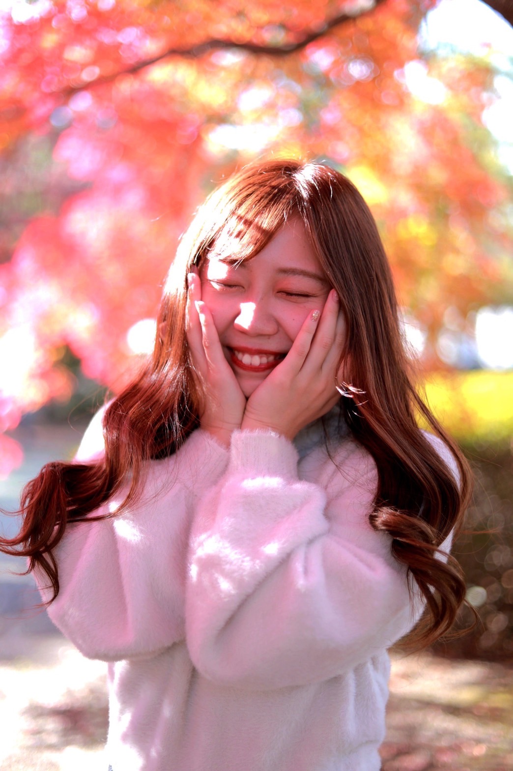 写真：イメージ12