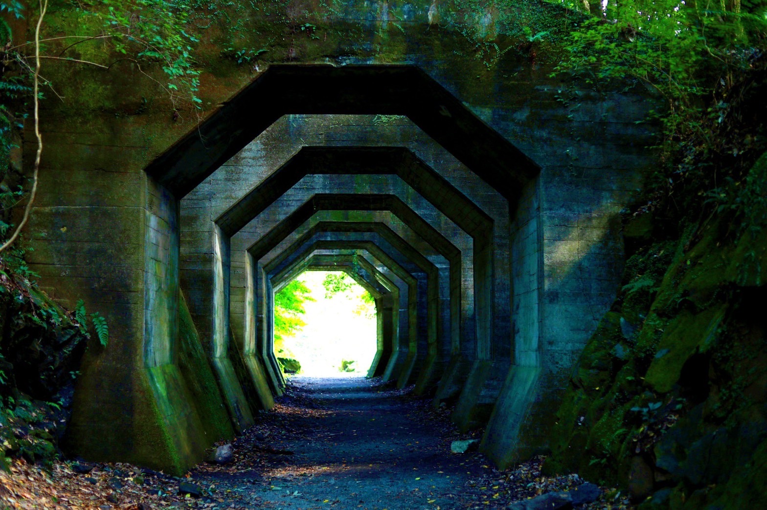 写真：イメージ3